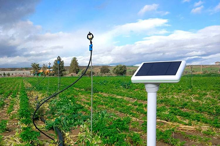 智慧灌溉 驅(qū)動(dòng)智能農(nóng)業(yè)管理的高效引擎