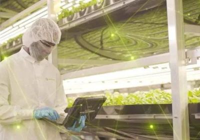 智慧農(nóng)業(yè)新浪潮 2021年全球九大植物工廠動(dòng)態(tài)盤點(diǎn)與智能農(nóng)業(yè)管理趨勢(shì)